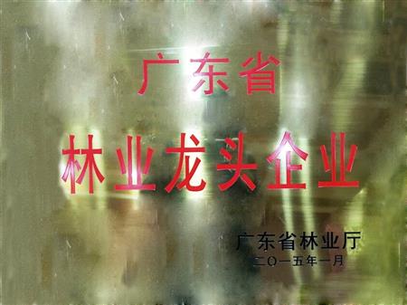    	         	2015年1月，紅古軒當(dāng)選為“廣東省林業(yè)龍頭企業(yè)”   